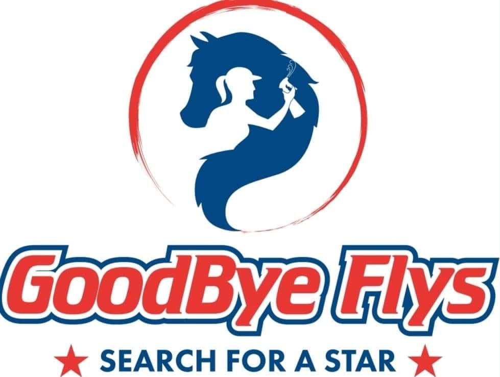 Search for a star competition from Goodbye flys